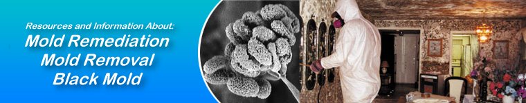 Mold Remediation, Mold Removal, Black Mold Information and Resources